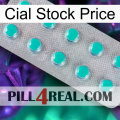 Cial Stock Price 28